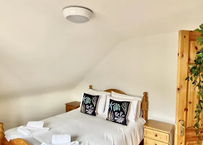 公寓 The Star 丁格尔